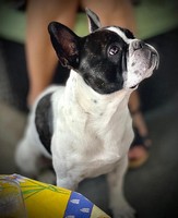 Avatar de l’utilisateur