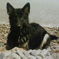 Avatar de l’utilisateur