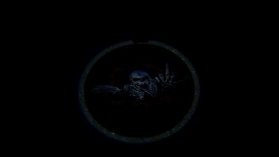 Fuck de Johnny sans peau