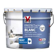 peinture blanche.jpg