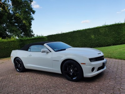 20210824_184524 (Moyen).jpg