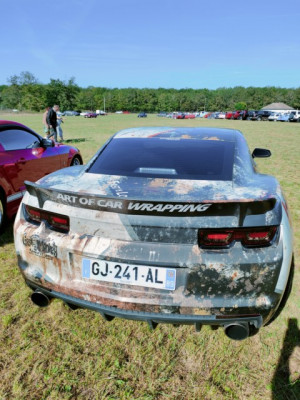 IMG20220911110449 [640x480].jpg