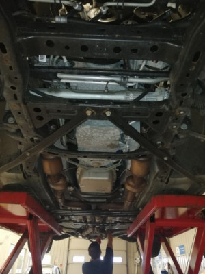 IMG_20220611_142752 [640x480].jpg