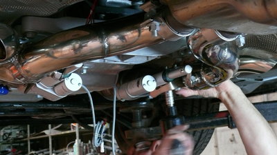 P1180011 Mise en place Cut et colliers.JPG